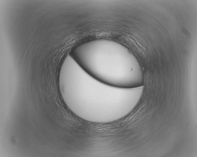 X0000116851345200912211048