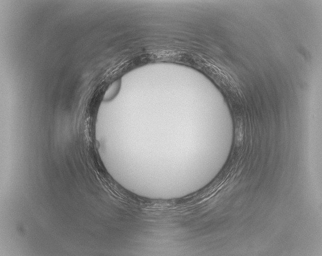 X0000116851346200912211048