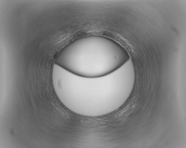 X0000116851348200912211048