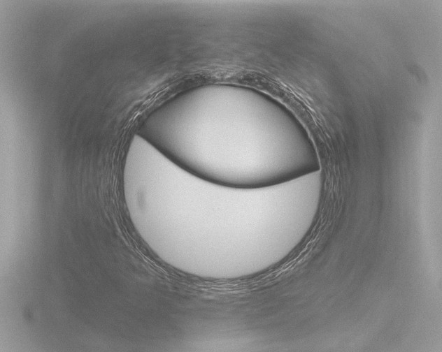 X0000116851349200912211048