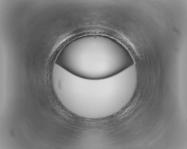 X0000116851352200912211048