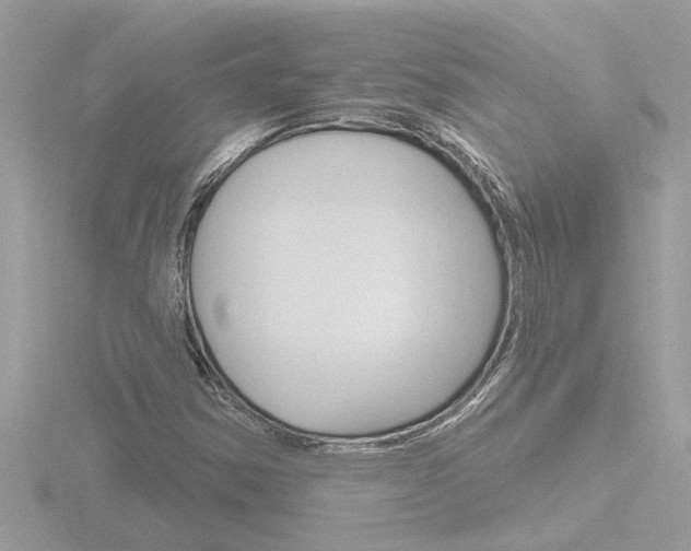 X0000116851354200912211048