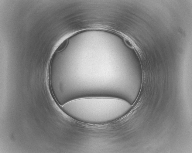 X0000116851387200912211048