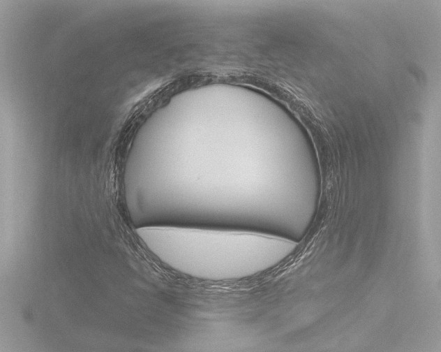 X0000116851398200912211047