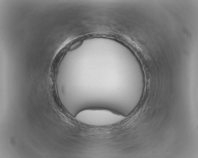 X0000116851400200912211047