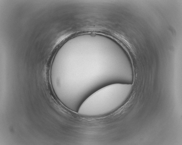 X0000116851404200912211047