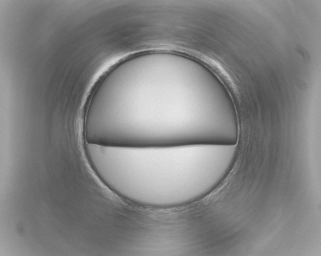 X0000116851424200912211047