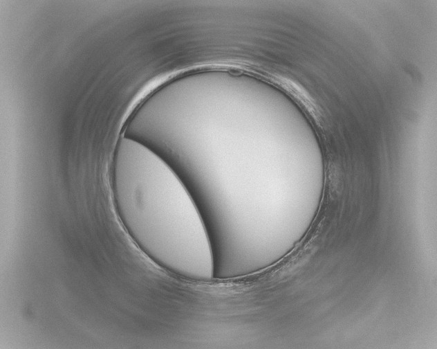 X0000116851428200912211047