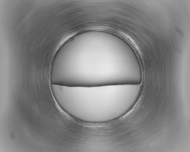 X0000116851433200912211048