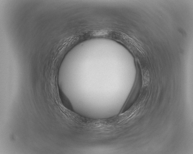 X0000116851441200912211047