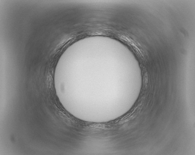 X0000116851446200912211047