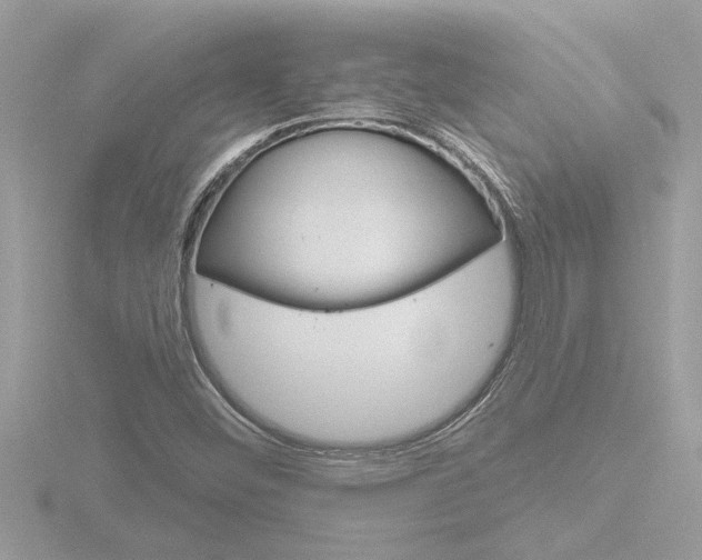 X0000116851452200912211047