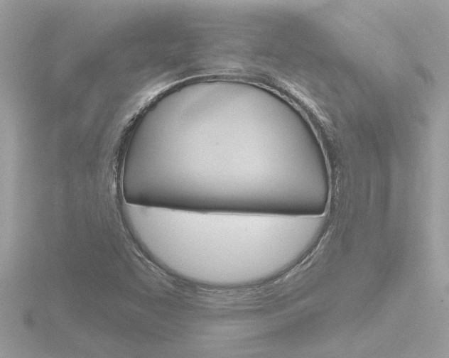 X0000116851455200912211047