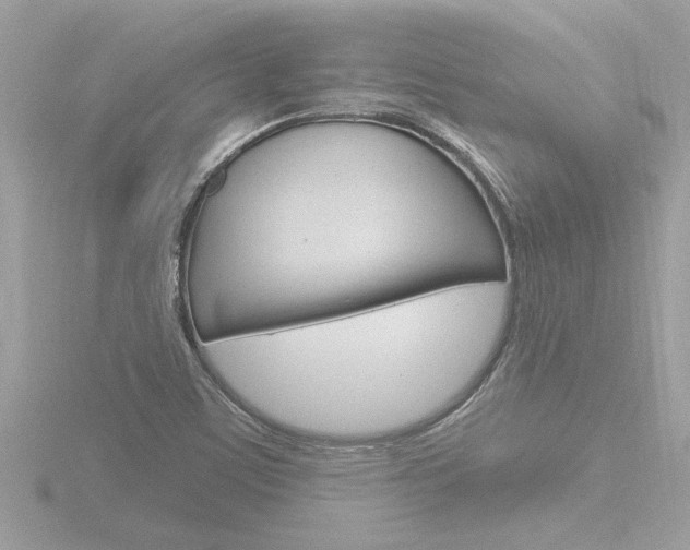 X0000116851459200912211047