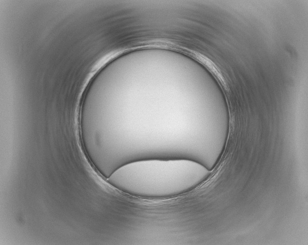 X0000116851482200912211046