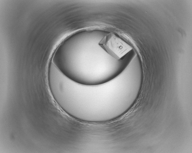 X0000116851488200912211046