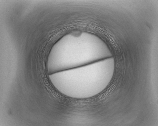 X0000116851489200912211045