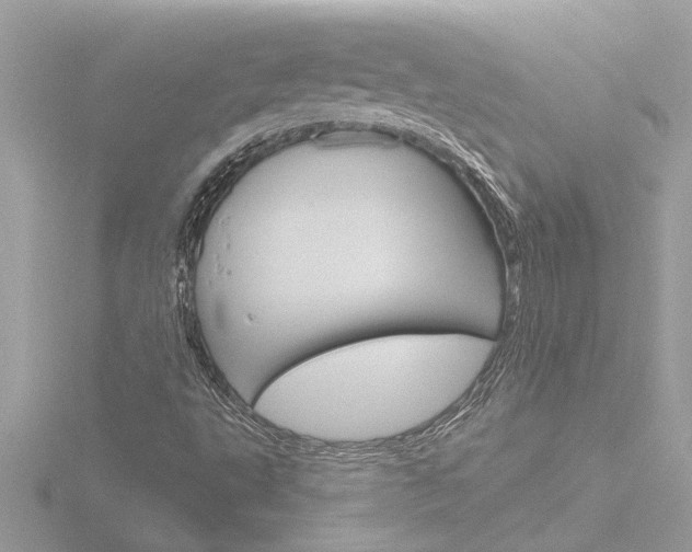 X0000116851495200912211046