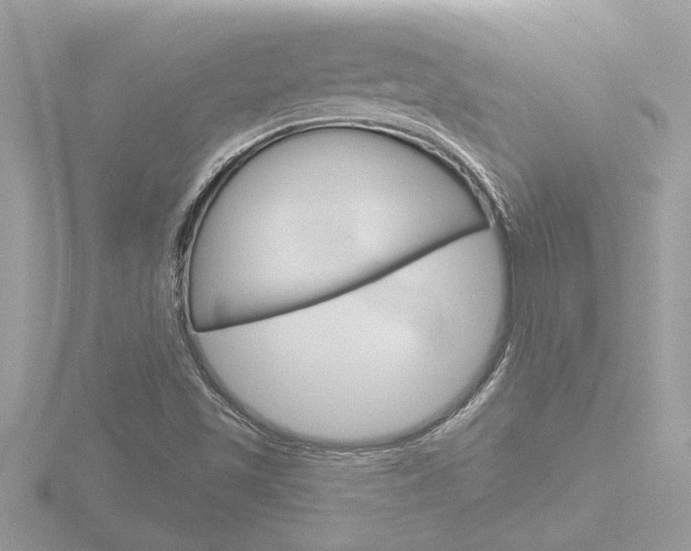 X0000116851501200912211046