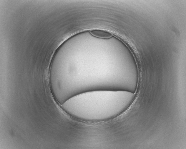 X0000116851521200912211046