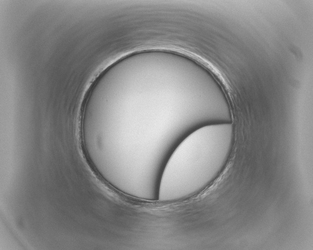X0000116851525200912211046