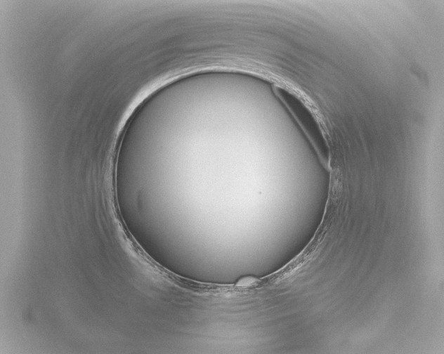 X0000116851530200912211046