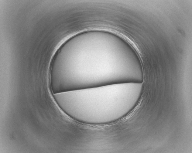 X0000116851533200912211046
