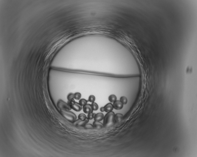 X0000116850001200912220951