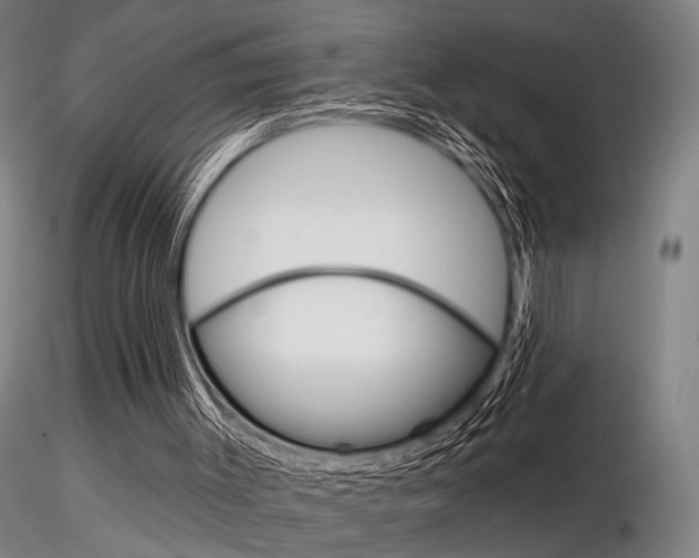 X0000116850003200912220951