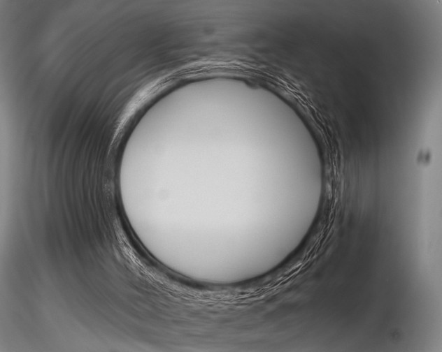 X0000116850004200912220951