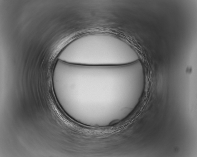 X0000116850005200912220951