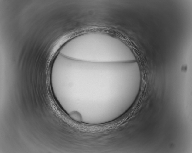 X0000116850006200912220951