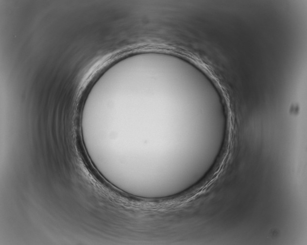 X0000116850007200912220951