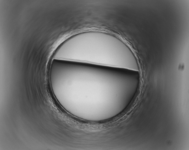 X0000116850008200912220951