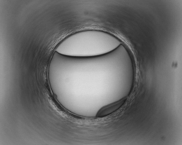 X0000116850009200912220951