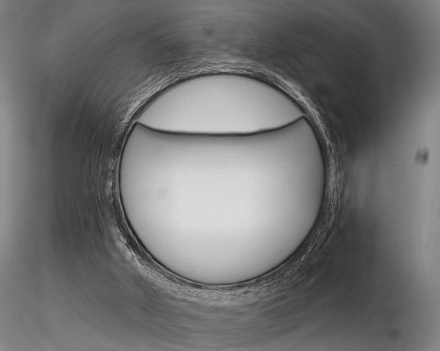 X0000116850010200912220951