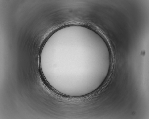 X0000116850011200912220951