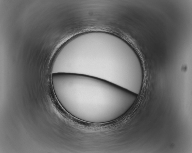 X0000116850012200912220951