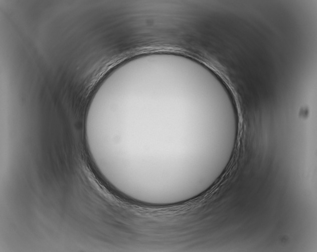 X0000116850013200912220951
