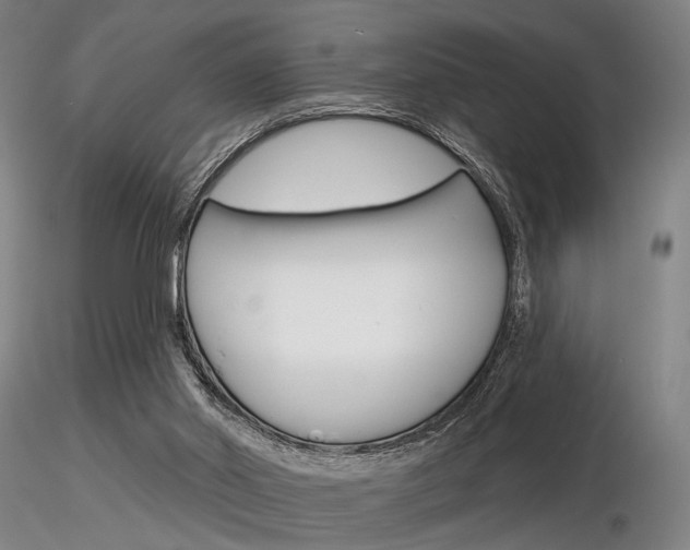 X0000116850014200912220951