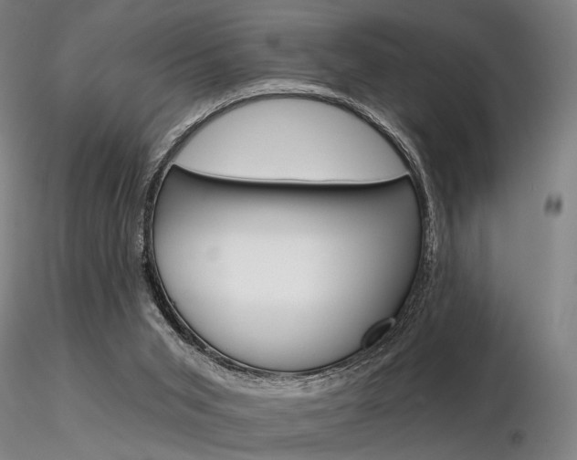 X0000116850015200912220951