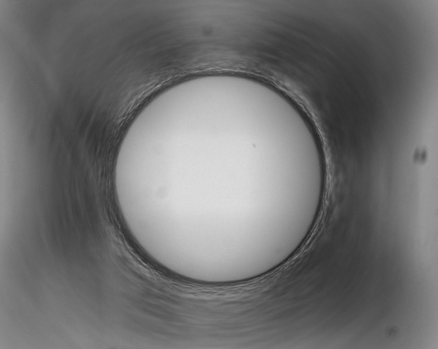 X0000116850017200912220951