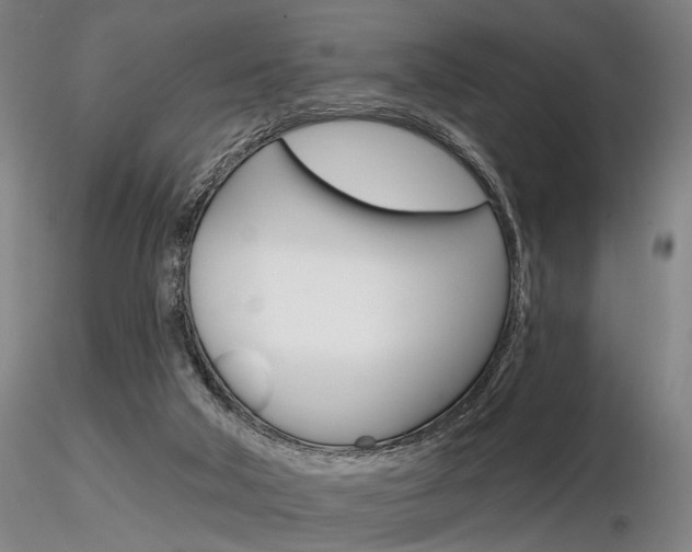 X0000116850018200912220951