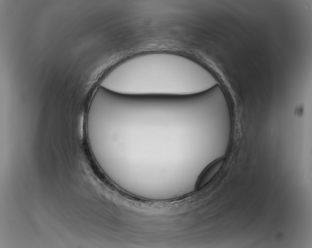 X0000116850019200912220951