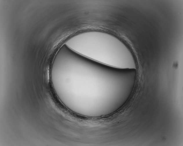 X0000116850020200912220951