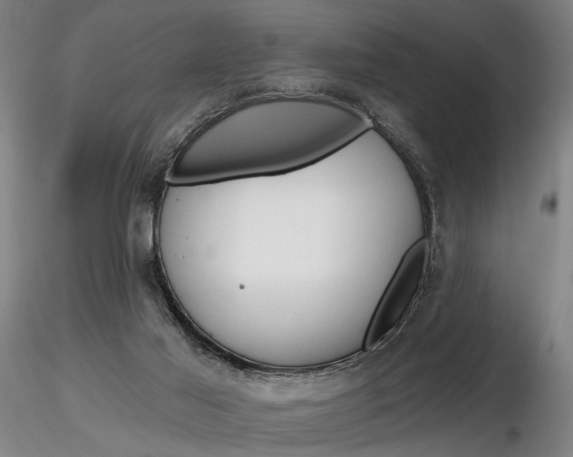 X0000116850021200912220951