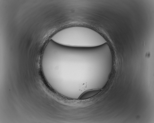 X0000116850023200912220951