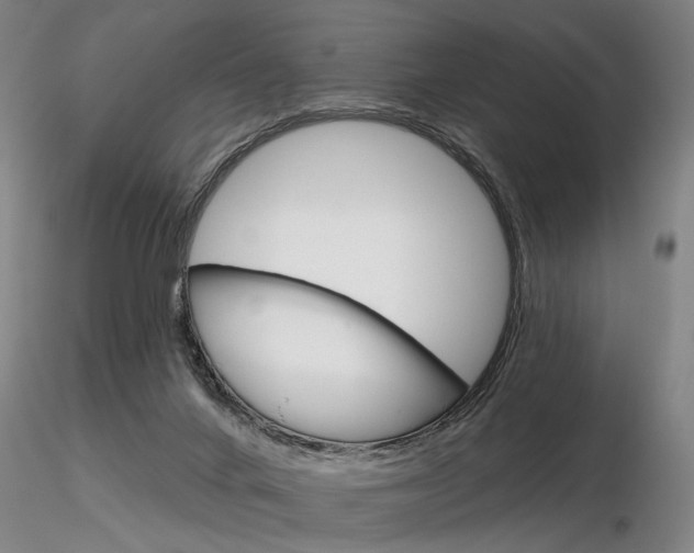 X0000116850024200912220951