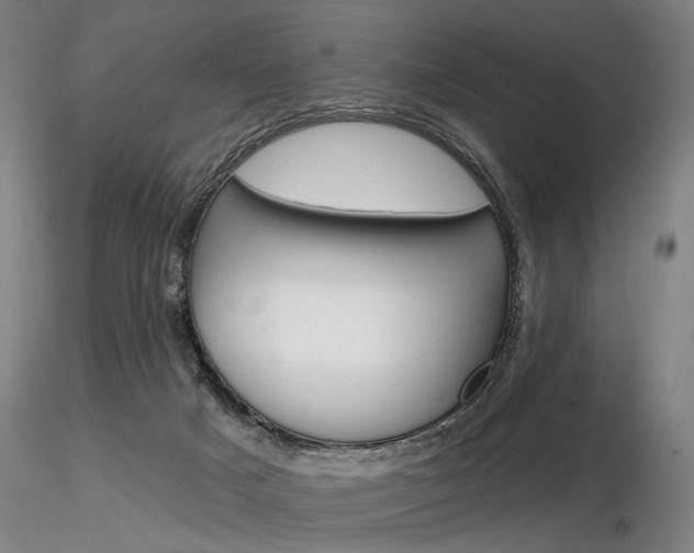 X0000116850025200912220951