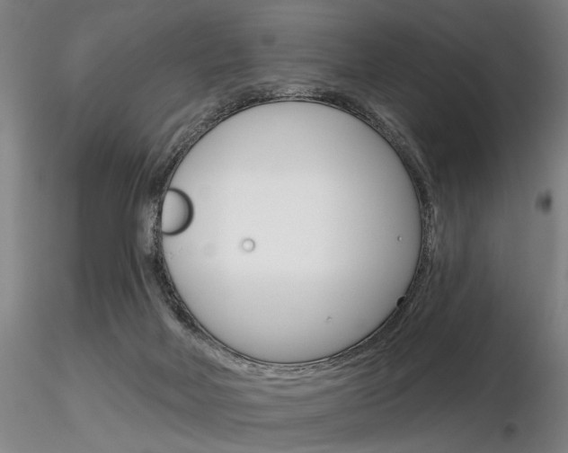 X0000116850026200912220951